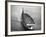 HMS Illustrious, 1942-null-Framed Photographic Print