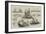 HMS Inflexible-William Edward Atkins-Framed Giclee Print