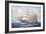 Hms Macquarie-John Bradley-Framed Giclee Print