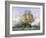 HMS Victory, British Warship, C1890-C1893-William Frederick Mitchell-Framed Giclee Print