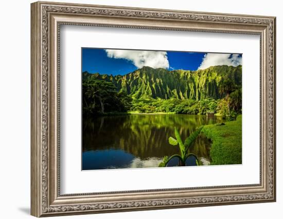 Ho'omaluhia Botanical Garden in Kaneohe, Oahu, Hawaii-Shane Myers Photography-Framed Photographic Print