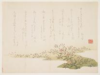 Violets, C.1848-53-Ho Shu-Premier Image Canvas