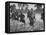 Hoa Hao Women's Troops Training for Jungle War with Sabers, in French Indo China-null-Framed Premier Image Canvas