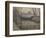 Hoar Frost, Chiswick, 1906 (Oil on Canvas)-Lucien Pissarro-Framed Giclee Print