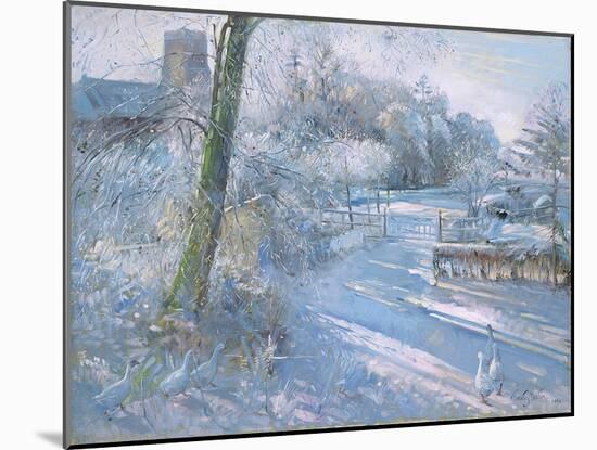 Hoar Frost Morning, 1996-Timothy Easton-Mounted Giclee Print