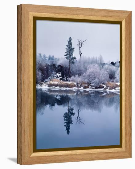 Hoar frost on Pacific willow, Deschutes River, Deschutes National Forest, Deschutes County, Oreg...-null-Framed Premier Image Canvas