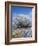 Hoar Frost, Oturehua, South Island, New Zealand-David Wall-Framed Photographic Print