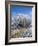 Hoar Frost, Oturehua, South Island, New Zealand-David Wall-Framed Photographic Print