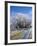 Hoar Frost, Oturehua, South Island, New Zealand-David Wall-Framed Photographic Print