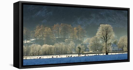 Hoar frost over Stonethwaite village in Borrowdale, Lake District National Park, Cumbria, England, -John Potter-Framed Premier Image Canvas