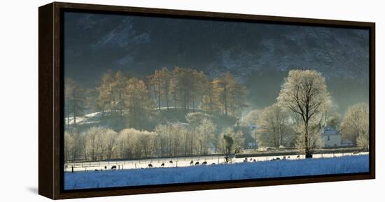 Hoar frost over Stonethwaite village in Borrowdale, Lake District National Park, Cumbria, England, -John Potter-Framed Premier Image Canvas