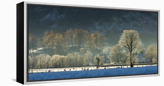 Hoar frost over Stonethwaite village in Borrowdale, Lake District National Park, Cumbria, England, -John Potter-Framed Premier Image Canvas