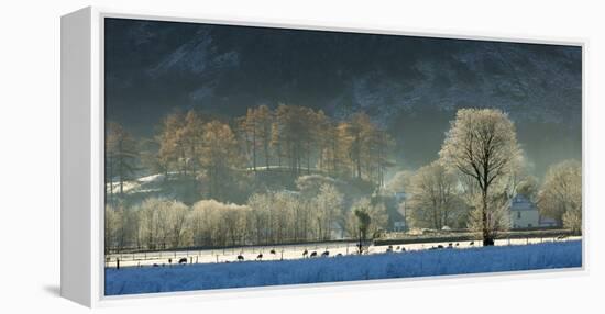 Hoar frost over Stonethwaite village in Borrowdale, Lake District National Park, Cumbria, England, -John Potter-Framed Premier Image Canvas