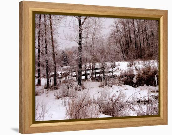 Hoar Frost-Ruth Palmer-Framed Stretched Canvas