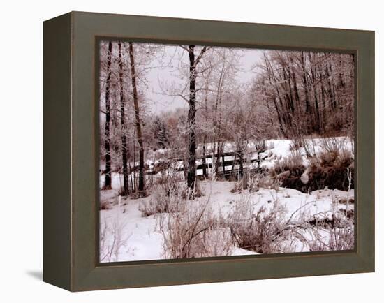 Hoar Frost-Ruth Palmer-Framed Stretched Canvas