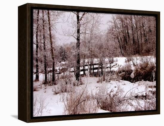 Hoar Frost-Ruth Palmer-Framed Stretched Canvas