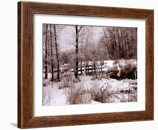 Hoar Frost-Ruth Palmer-Framed Art Print