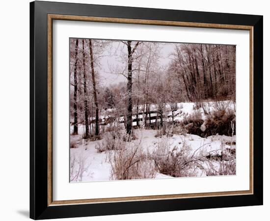 Hoar Frost-Ruth Palmer-Framed Art Print