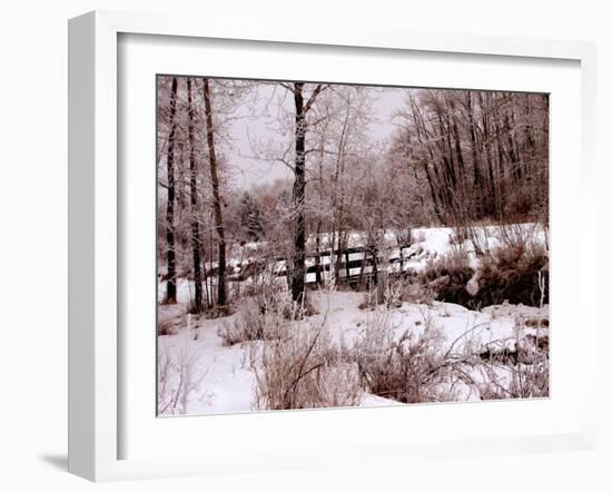 Hoar Frost-Ruth Palmer-Framed Art Print