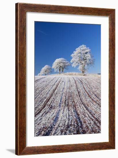 Hoar Frosted Farmland and Trees, Bow, Mid Devon, England. Winter-Adam Burton-Framed Photographic Print