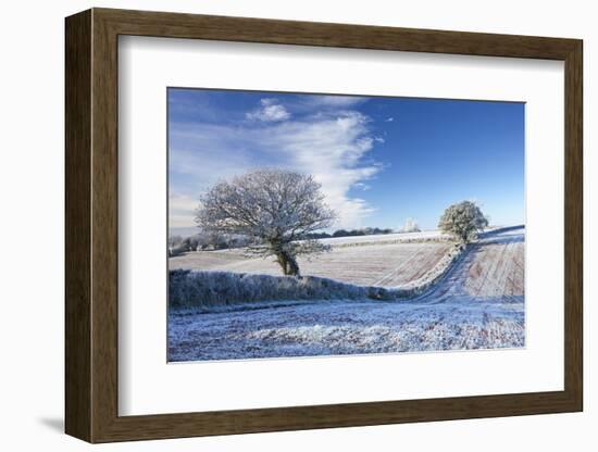 Hoar Frosted Farmland and Trees in Winter Time, Bow, Mid Devon, England. Winter-Adam Burton-Framed Photographic Print