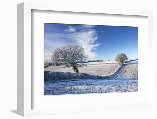 Hoar Frosted Farmland and Trees in Winter Time, Bow, Mid Devon, England. Winter-Adam Burton-Framed Photographic Print