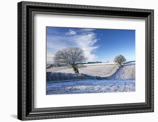 Hoar Frosted Farmland and Trees in Winter Time, Bow, Mid Devon, England. Winter-Adam Burton-Framed Photographic Print