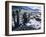 Hoarfrost on Joshua Trees, Racetrack Valley, Death Valley National Park, California, USA-Scott T. Smith-Framed Photographic Print