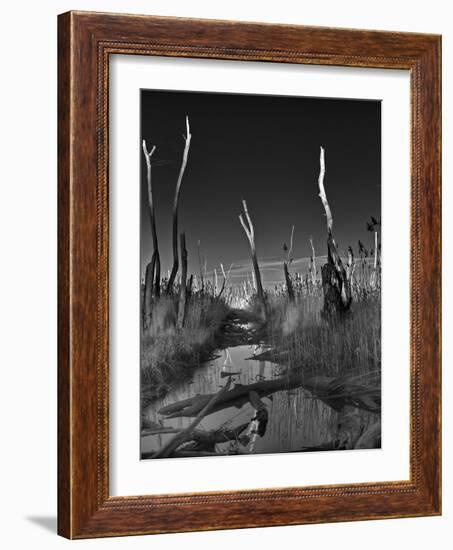 Hoax-Geoffrey Ansel Agrons-Framed Photographic Print