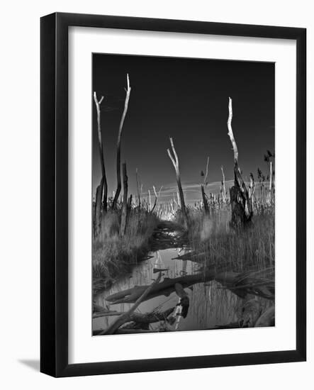 Hoax-Geoffrey Ansel Agrons-Framed Photographic Print