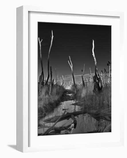 Hoax-Geoffrey Ansel Agrons-Framed Photographic Print