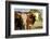 Hobbs, New Mexico, USA. Cattle drive-Julien McRoberts-Framed Photographic Print