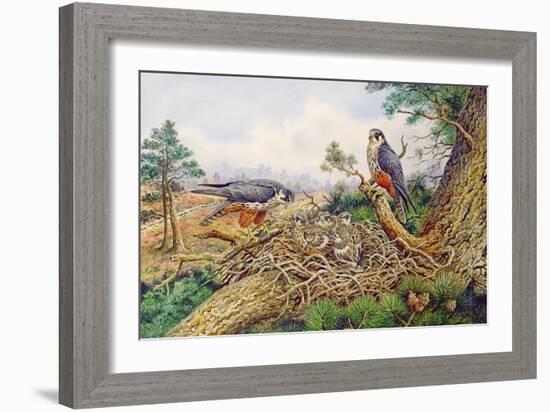 Hobbys at their Nest-Carl Donner-Framed Giclee Print