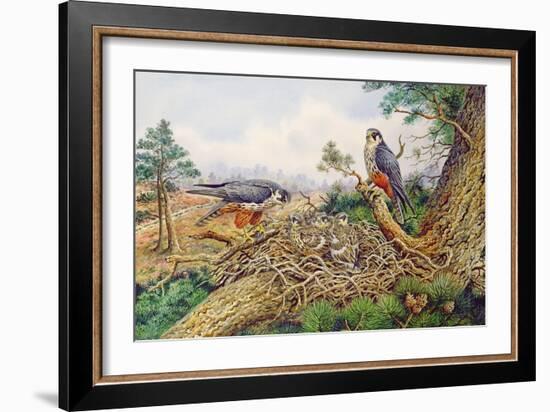 Hobbys at their Nest-Carl Donner-Framed Giclee Print