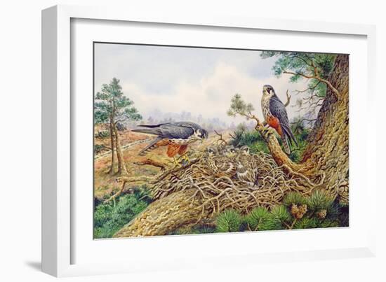 Hobbys at their Nest-Carl Donner-Framed Giclee Print