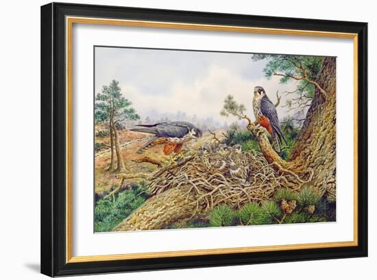 Hobbys at their Nest-Carl Donner-Framed Giclee Print