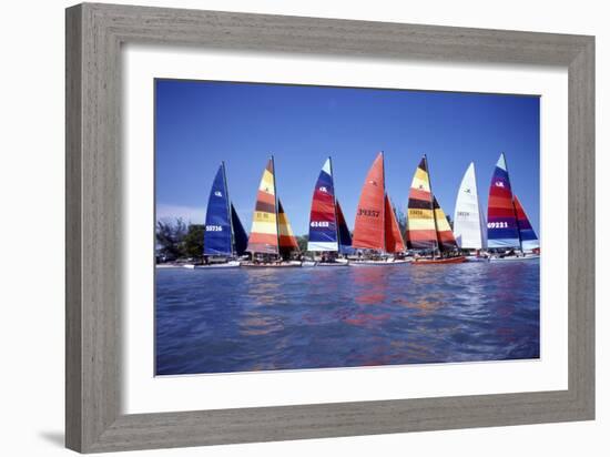 Hobie Cats Anchored and Lined Up Along the Shore, C.1990-null-Framed Photographic Print