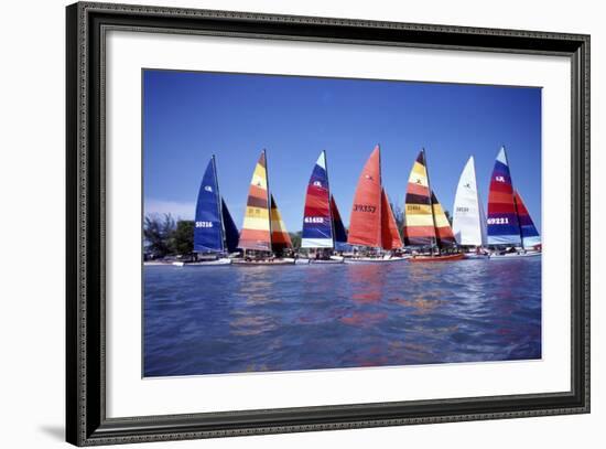 Hobie Cats Anchored and Lined Up Along the Shore, C.1990-null-Framed Photographic Print