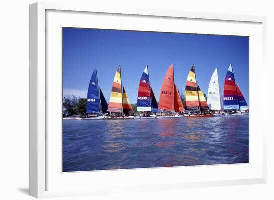 Hobie Cats Anchored and Lined Up Along the Shore, C.1990-null-Framed Photographic Print