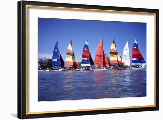 Hobie Cats Anchored and Lined Up Along the Shore, C.1990-null-Framed Photographic Print