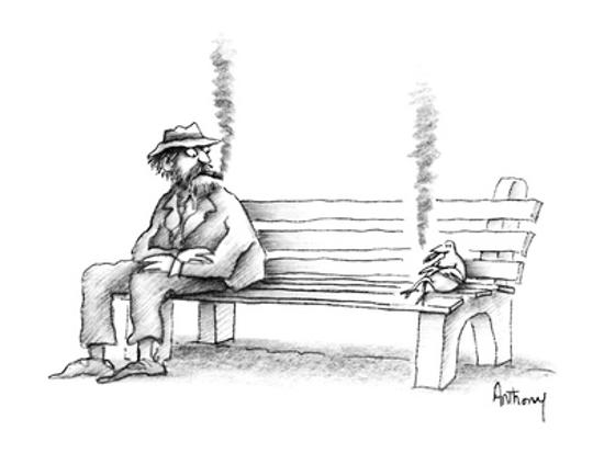Hobo On Park Bench Sees Bird Smoking The Same Kind Of Cigar He Is