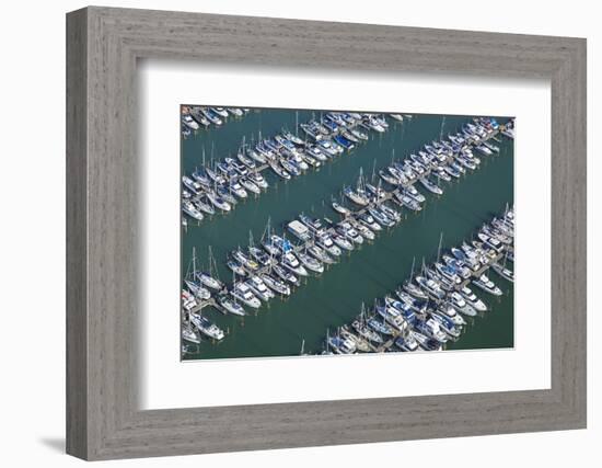 Hobsonville Marina, Waitemata Harbour, Auckland, North Island, New Zealand-David Wall-Framed Photographic Print