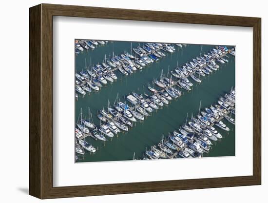 Hobsonville Marina, Waitemata Harbour, Auckland, North Island, New Zealand-David Wall-Framed Photographic Print