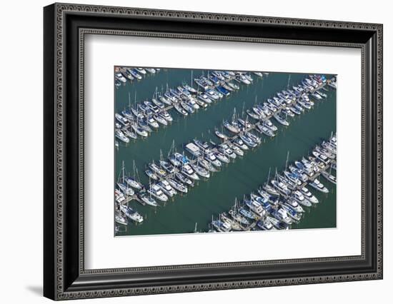 Hobsonville Marina, Waitemata Harbour, Auckland, North Island, New Zealand-David Wall-Framed Photographic Print