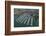 Hobsonville Marina, Waitemata Harbour, Auckland, North Island, New Zealand-David Wall-Framed Photographic Print