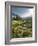 Hochmoor at the Prebersee, Salzburg, Austria-Rainer Mirau-Framed Photographic Print