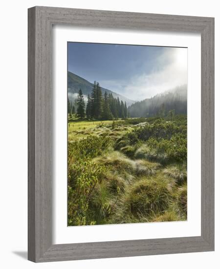 Hochmoor at the Prebersee, Salzburg, Austria-Rainer Mirau-Framed Photographic Print