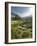 Hochmoor at the Prebersee, Salzburg, Austria-Rainer Mirau-Framed Photographic Print