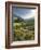 Hochmoor at the Prebersee, Salzburg, Austria-Rainer Mirau-Framed Photographic Print