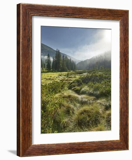 Hochmoor at the Prebersee, Salzburg, Austria-Rainer Mirau-Framed Photographic Print